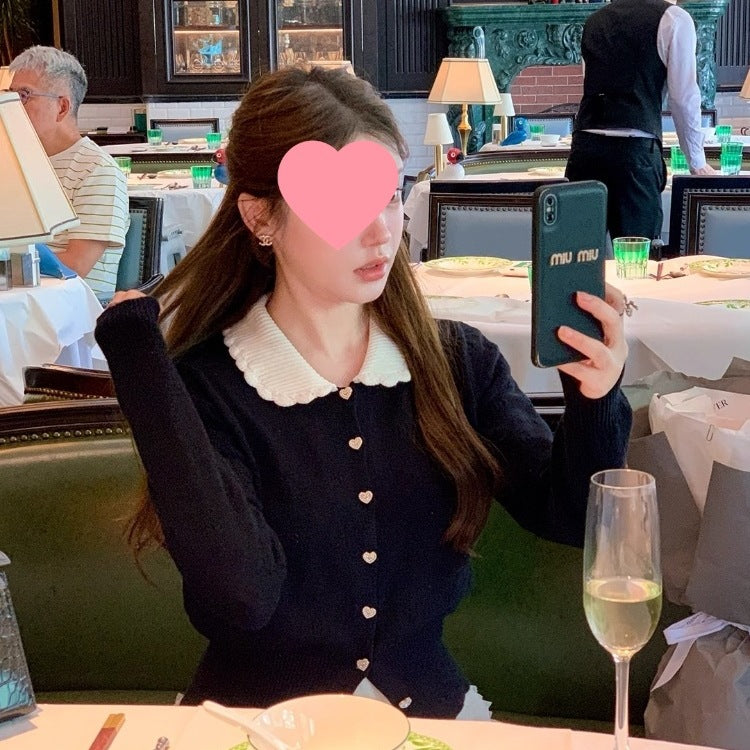 Navy Blue Contrast Color Doll Collar Petal Design Long Sleeve Knit Sweater